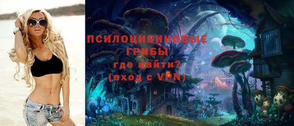СК Горняк