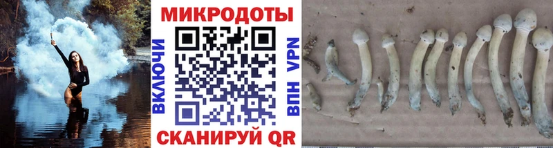 Галлюциногенные грибы мухоморы  купить наркотик  mega рабочий сайт  Первоуральск 